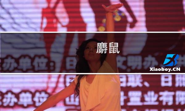 麝鼠（别名：水耗子青根貂鼠科）（桦川县特产）