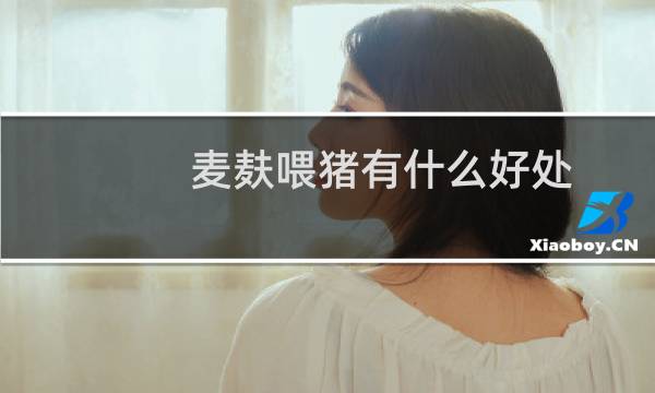 麦麸喂猪有什么好处