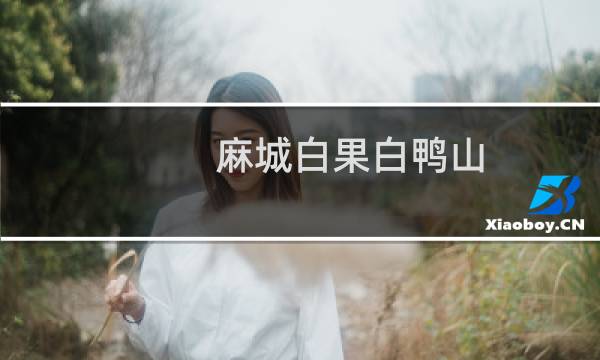 麻城白果白鸭山