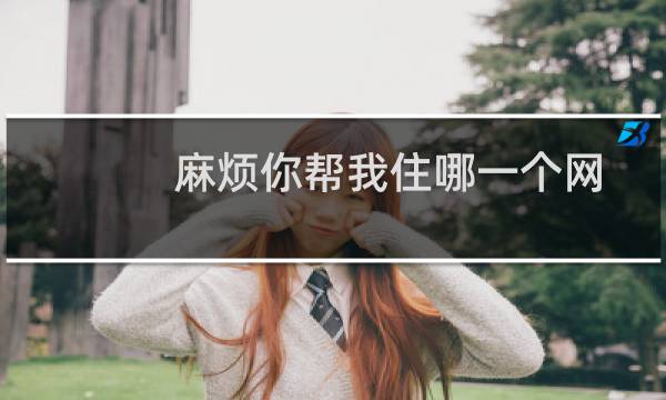 麻烦你帮我住哪一个网站-其他问题