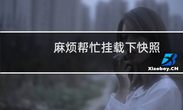 麻烦帮忙挂载下快照，时间是11月17日的