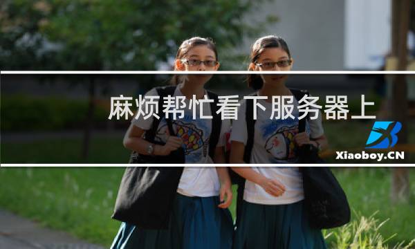 麻烦帮忙看下服务器上建站助手是32位还是64位