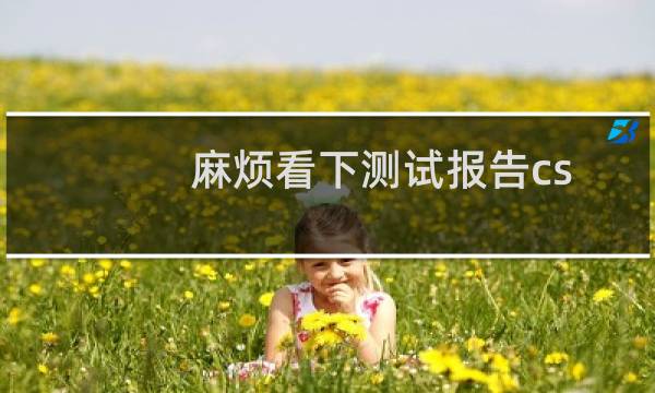 麻烦看下测试报告cszyy.com