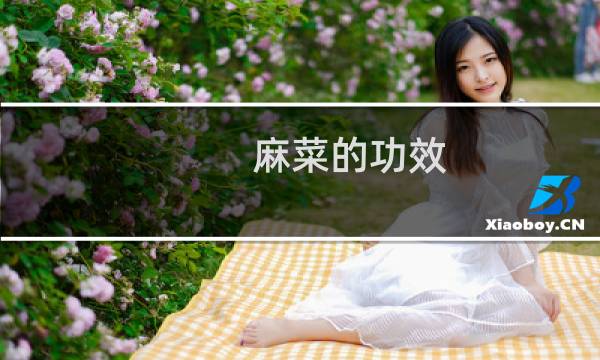 麻菜的功效（麻菜的功效与作用）图片