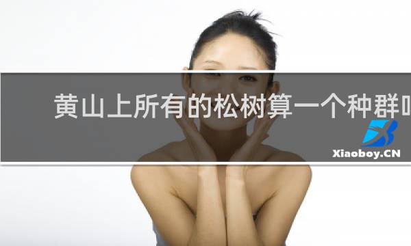 黄山上所有的松树算一个种群吗