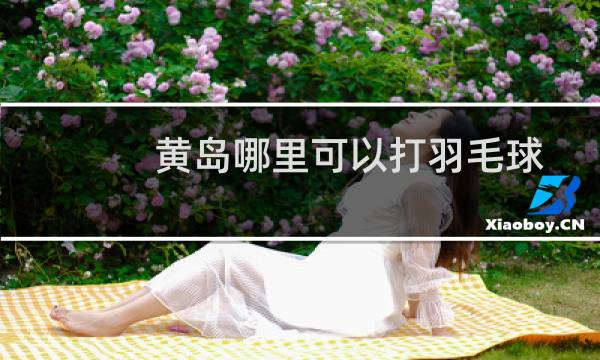 黄岛哪里可以打羽毛球