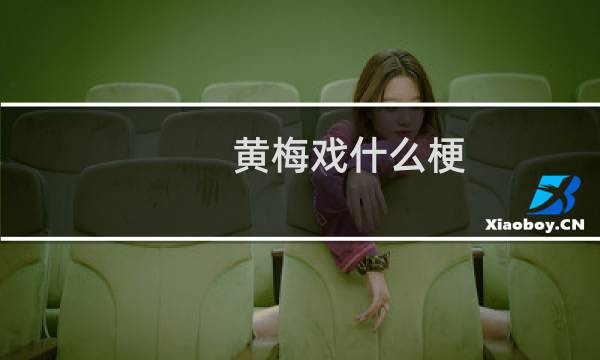 黄梅戏什么梗