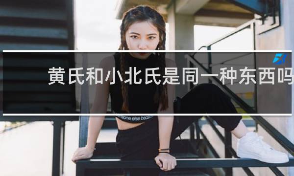 黄氏和小北氏是同一种东西吗