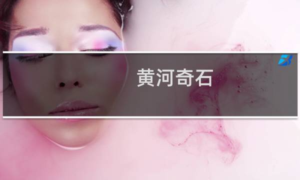 黄河奇石