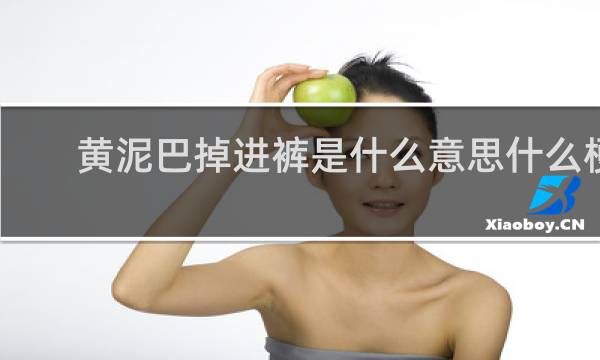 黄泥巴掉进裤是什么意思什么梗