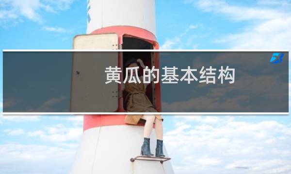 黃瓜的基本結(jié)構(gòu)