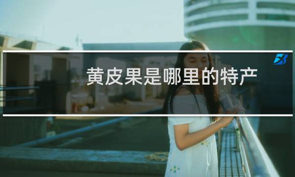 黄皮果是哪里的特产图片