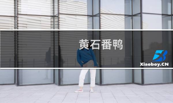 黄石番鸭