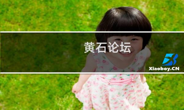 黄石论坛图片