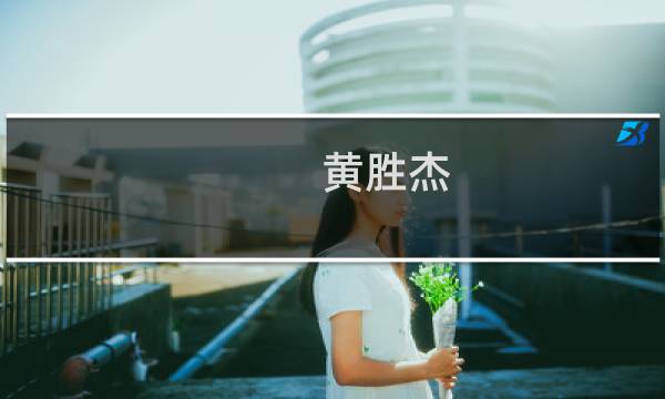 黄胜杰(广西壮族自治区政府副秘书长黄胜杰的简历为什么不..._秘书资...)