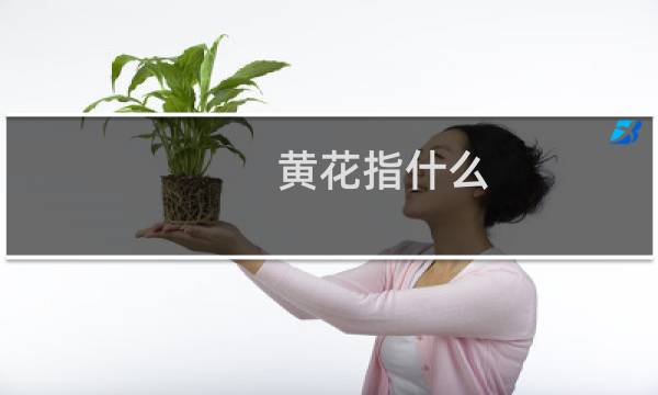 黄花指什么（黄花黄写的什么）