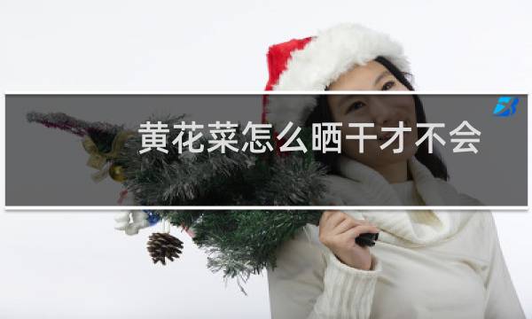 黄花菜怎么晒干才不会变黑(黄花菜怎么晒干)