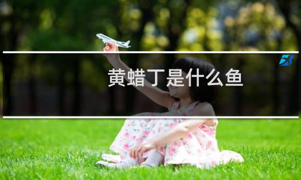 黄蜡丁是什么鱼