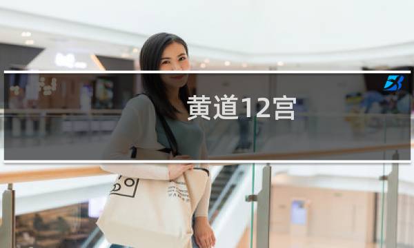 黄道12宫图片