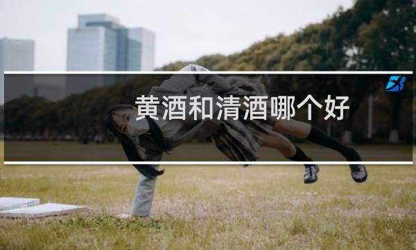 黄酒和清酒哪个好