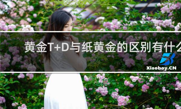 黄金T+D与纸黄金的区别有什么