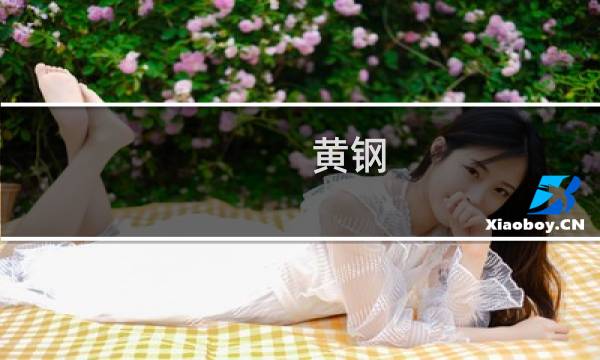 黄钢图片