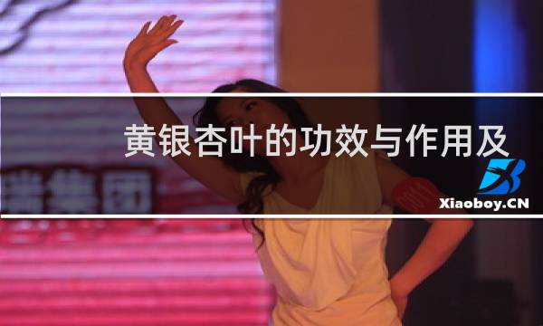 黄银杏叶的功效与作用及食用方法