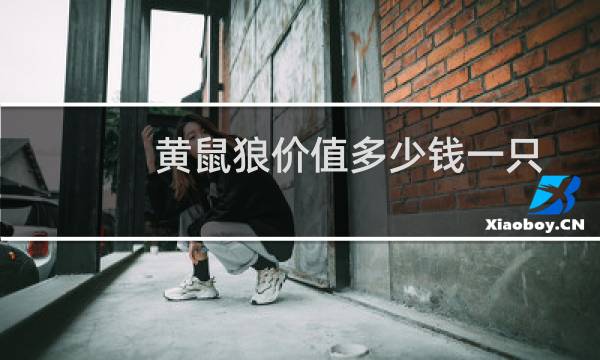 黄鼠狼价值多少钱一只