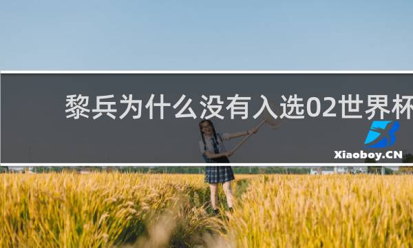 黎兵为什么没有入选02世界杯