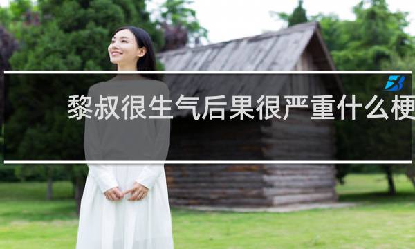 黎叔很生气后果很严重什么梗？黎叔很生气后果很严重是什么意思什么梗