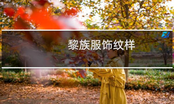 黎族服饰纹样（随时代演变的黎族服饰图片）图片