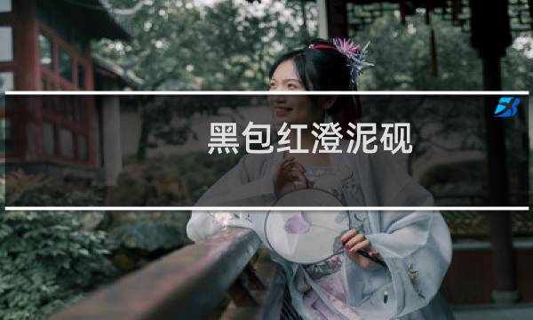 黑包红澄泥砚
