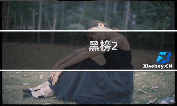 黑榜2图片
