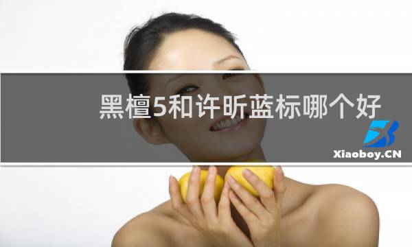 黑檀5和许昕蓝标哪个好