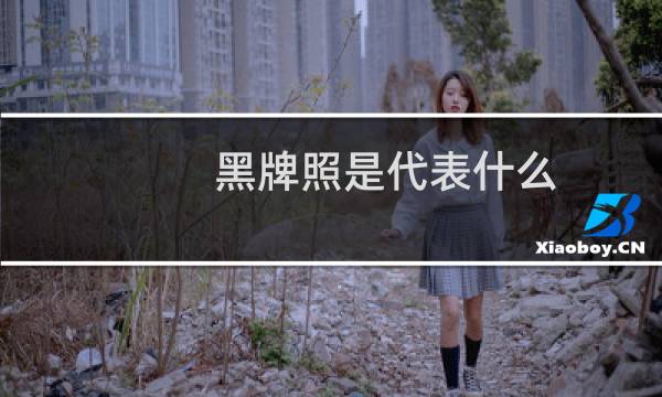 黑牌照是代表什么（黑牌照）图片