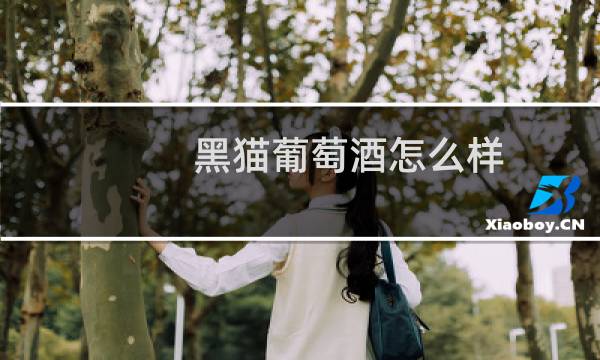 黑猫葡萄酒怎么样图片