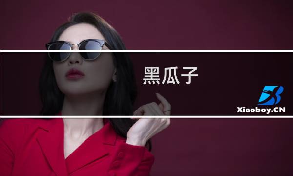 黑瓜子(皋兰县特产)