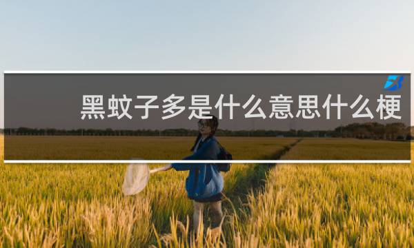 黑蚊子多是什么意思什么梗