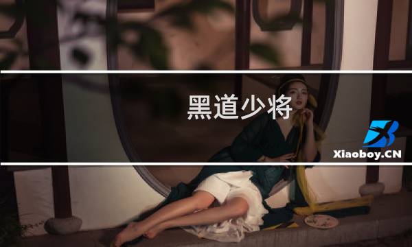 黑道少将图片