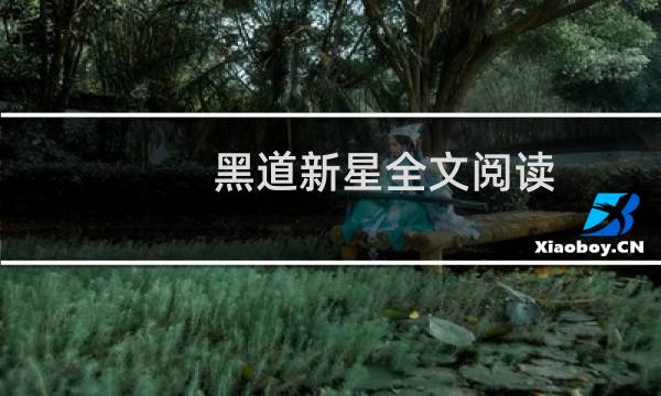 黑道新星全文阅读