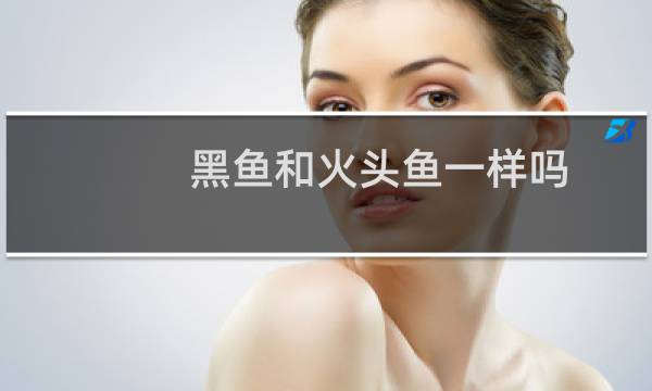 黑鱼和火头鱼一样吗（黑鱼与火头的区别是什么）图片