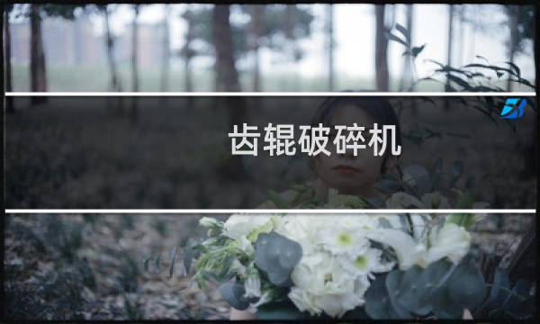 齿辊破碎机图片