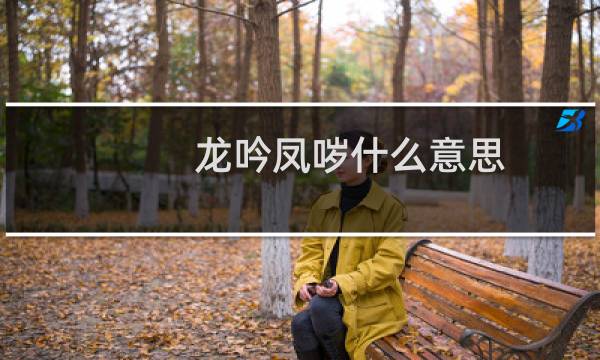龙吟凤哕什么意思（龙吟凤哕指什么）