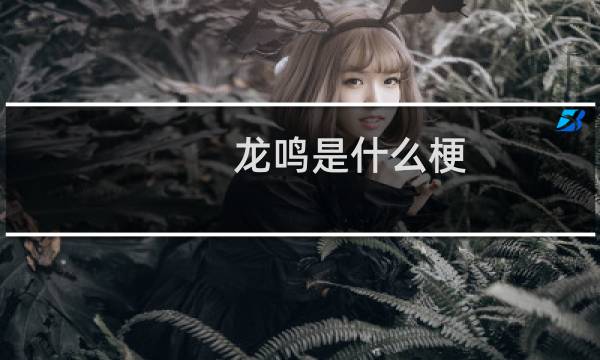 龙鸣是什么梗