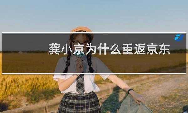 龚小京为什么重返京东(龚小京为什么回京东)