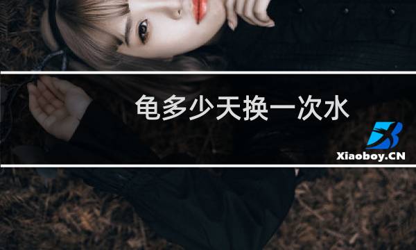 龟多少天换一次水