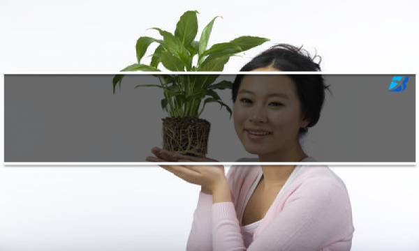 ：  一、检出不符的备案号:沪ICP备号-1，域名：mcch