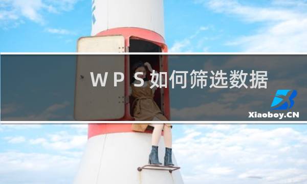 ＷＰＳ如何筛选数据