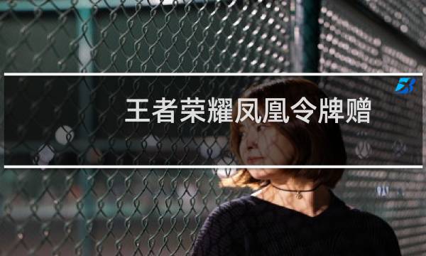  王者荣耀凤凰令牌赠送不了怎么吧 赠送收不到解决办法图片