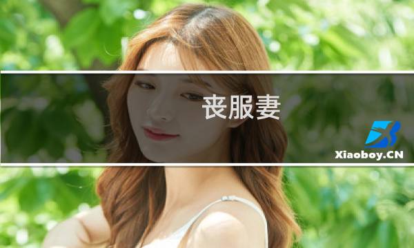-丧服妻-攻略